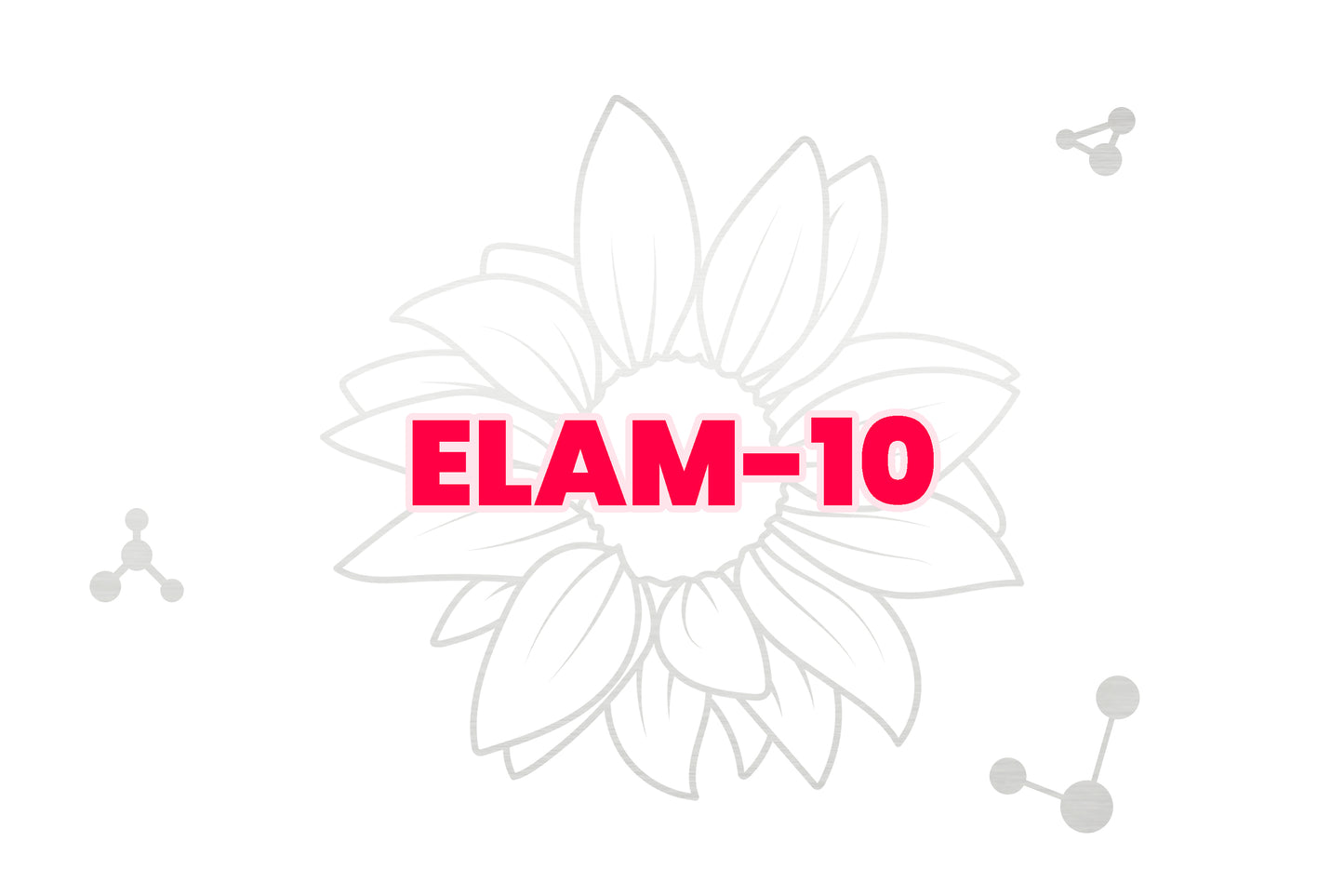 ELAM (SS-31)