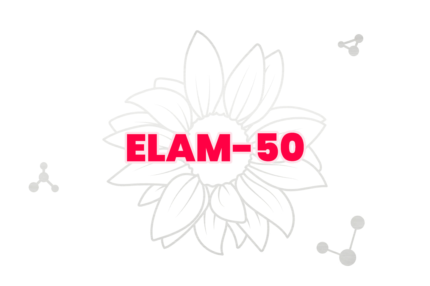 ELAM (SS-31)