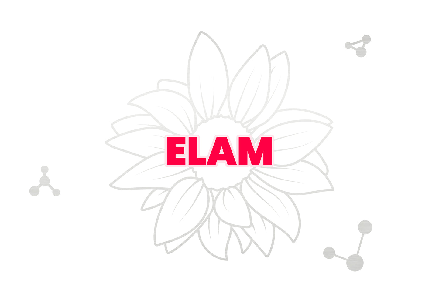ELAM (SS-31)