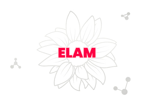 ELAM (SS-31)