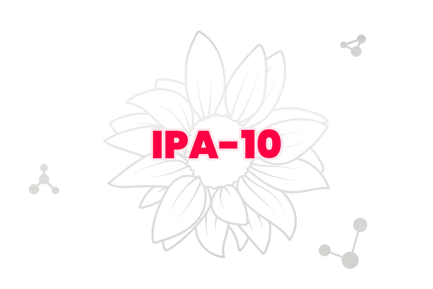 IPA
