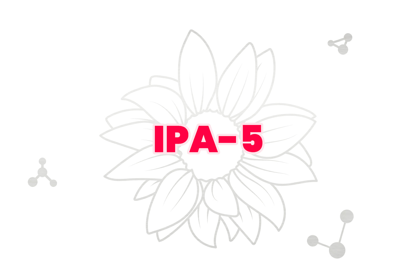 IPA