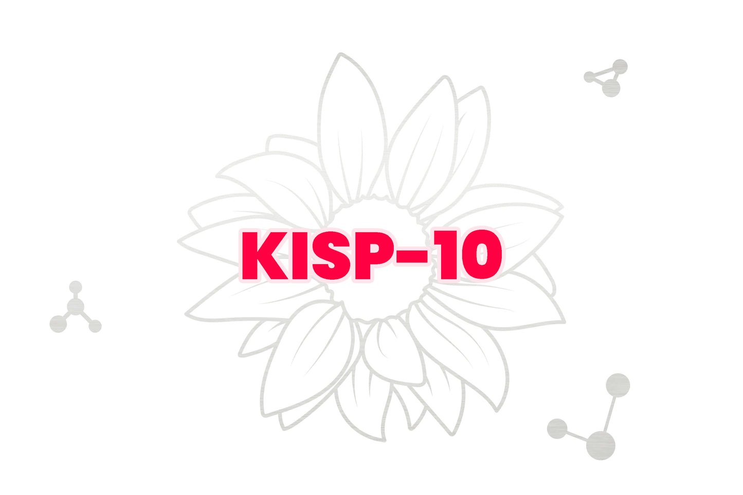 KISP