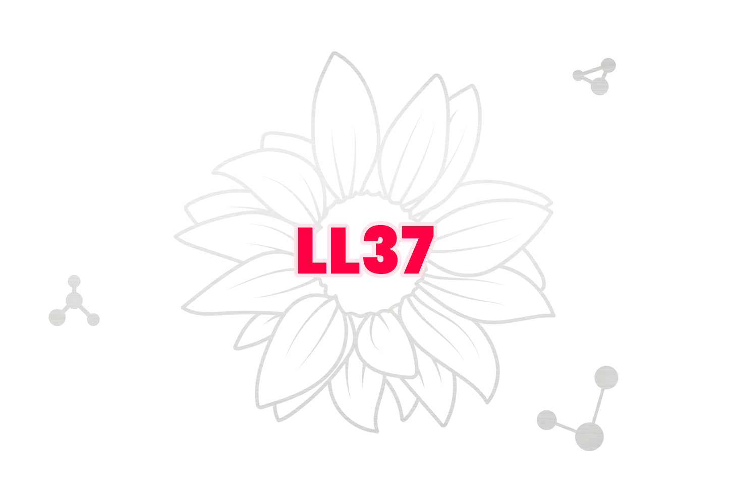 LL37