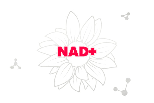 NAD+