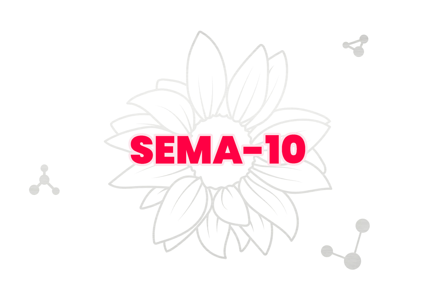 SEMA