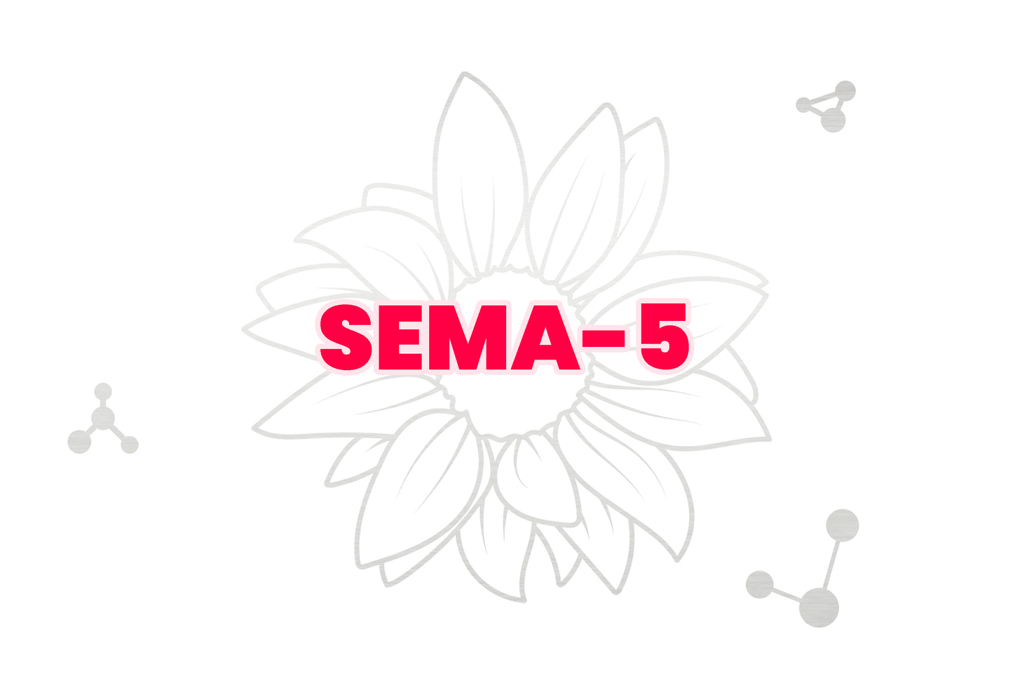 SEMA