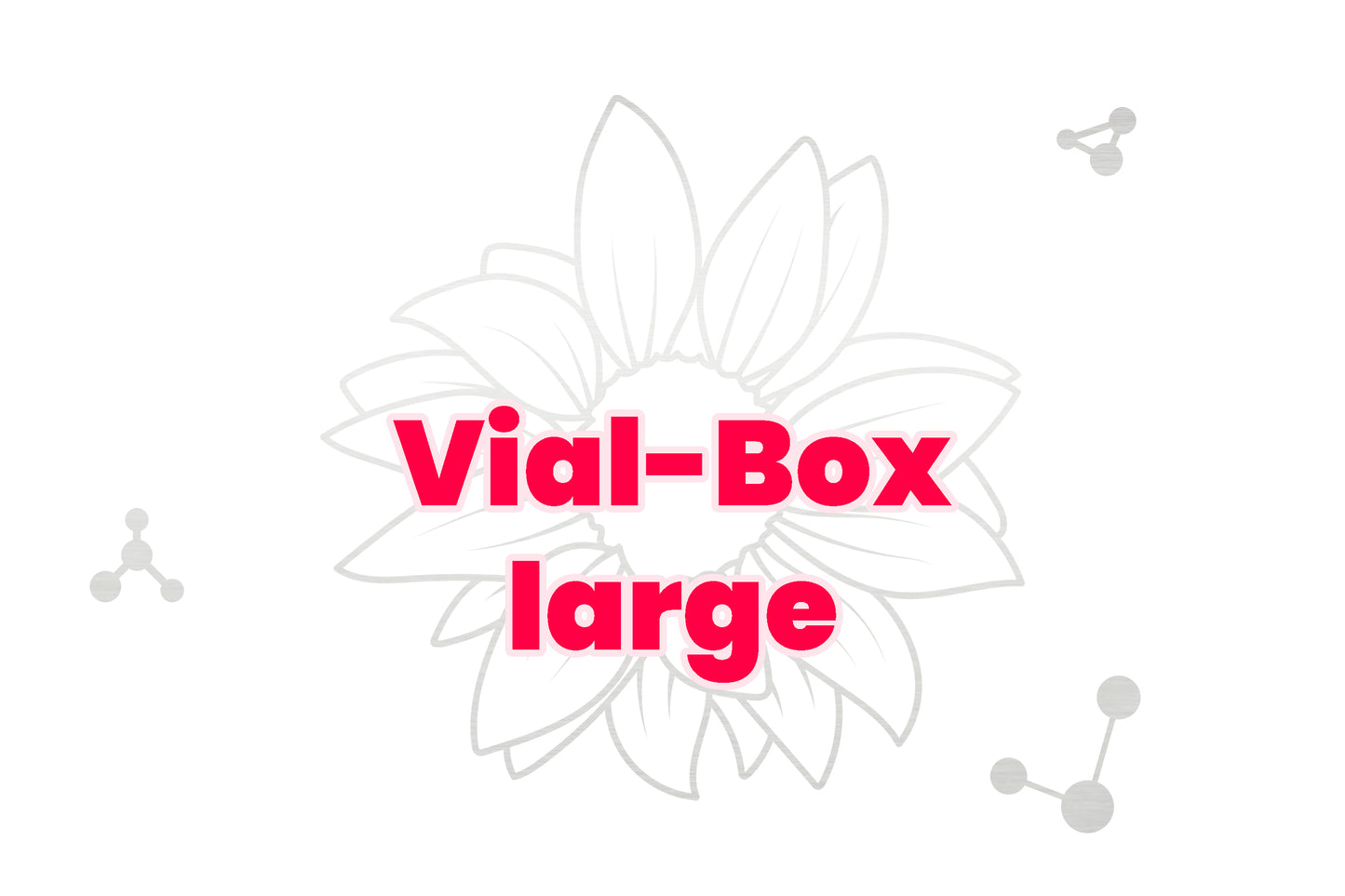 Plastic 10-pack Vial Box