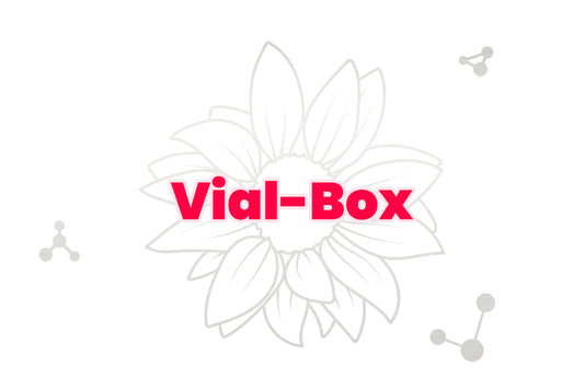 Plastic 10-pack Vial Box