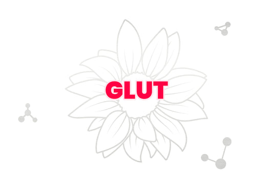 GLUT